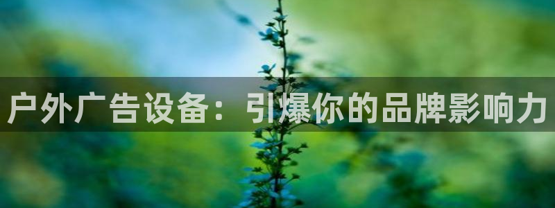 杏宇平台注册地址在哪里