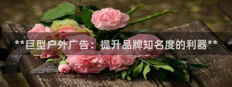 杏宇平台代理怎么赚钱快