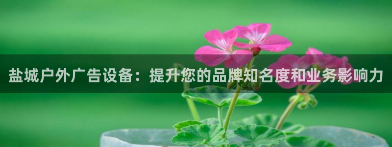 杏宇官方平台官网下载：盐城户外广告设备：提升您的品牌知名度和业务影响力