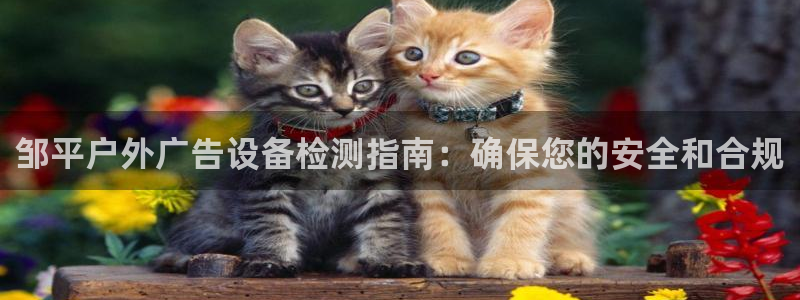 杏宇平台代理怎么赚钱：邹平户外广告设备检测指南：确保您的安全和合规