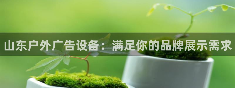 杏宇平台测速链接