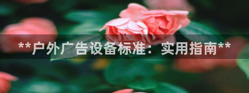 杏宇平台登录步骤图