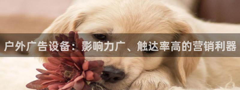 杏宇平台代理怎么样可靠吗