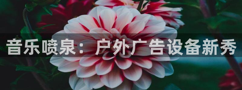 杏宇平台总代理