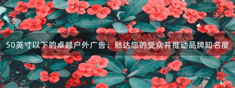 杏宇平台官网注册