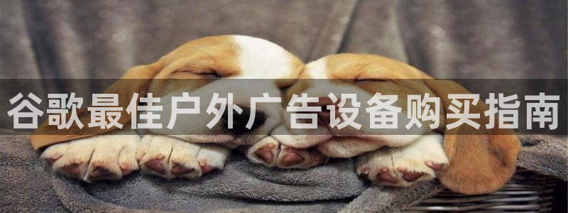 杏宇平台测速链接