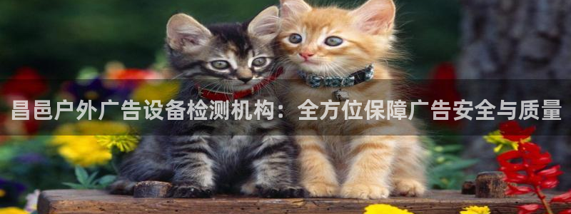 杏宇平台代理怎么样赚钱