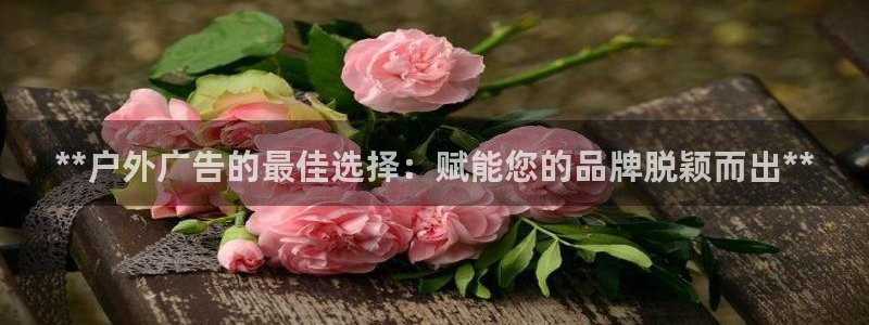 杏宇平台登陆