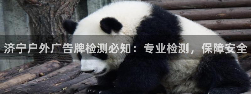 杏宇平台好吗