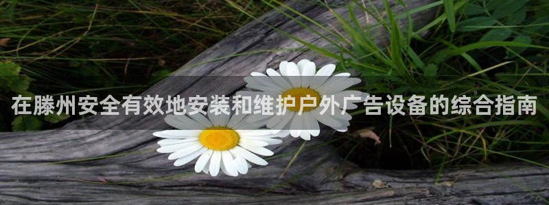 杏宇平台代理怎么样啊