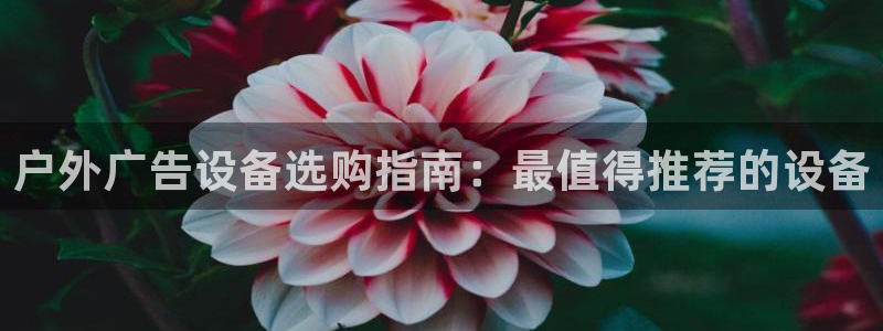 杏宇平台总代理是谁