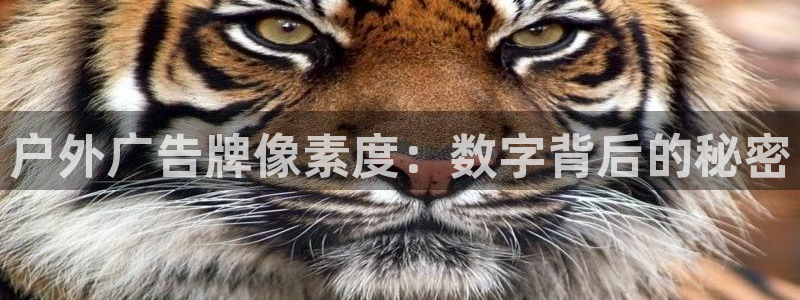 杏宇平台总代理