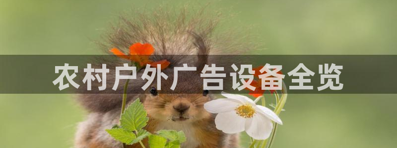 杏宇平台代理怎么赚钱