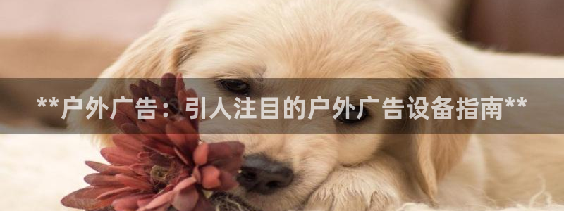 杏宇平台总代理