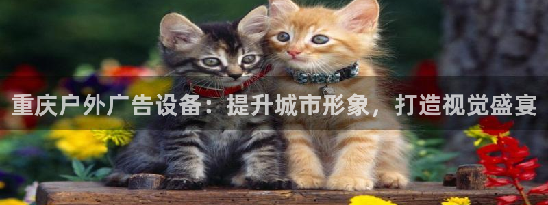 杏宇平台测速链接
