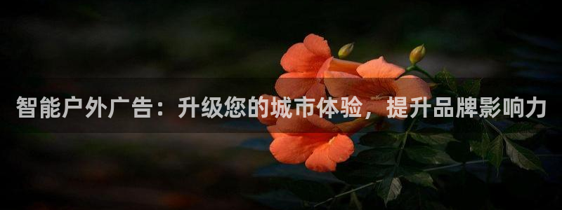 杏宇平台代理怎么样