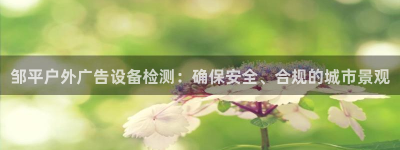 杏宇平台总代理