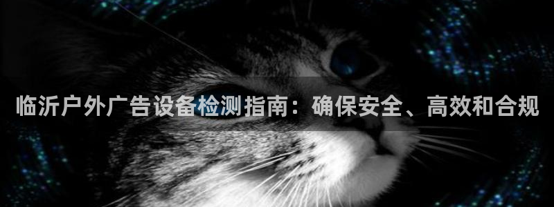 杏宇平台登录步骤