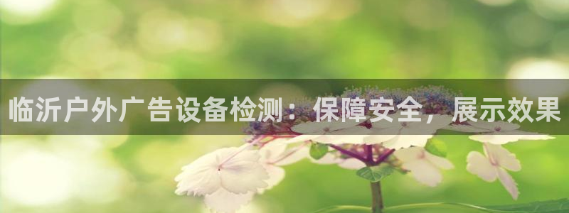 杏宇平台代理怎么样可靠吗