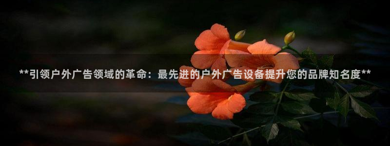 杏宇平台总代理电话