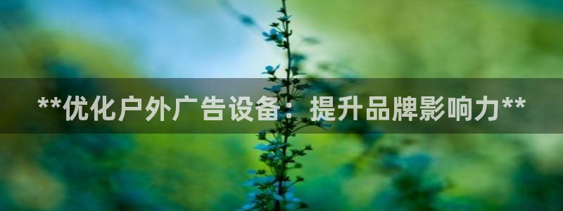 杏宇平台招商电话号码