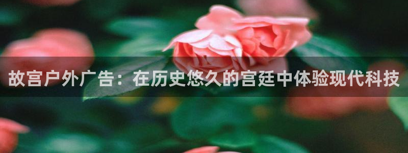 杏宇平台登录步骤是什么