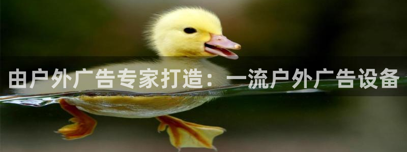 杏宇平台代理怎么样
