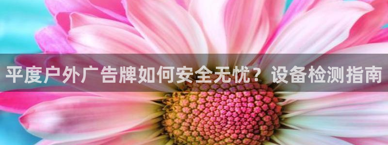 杏宇平台代理怎么样赚钱