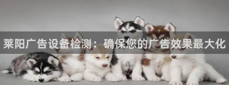 杏宇平台开户