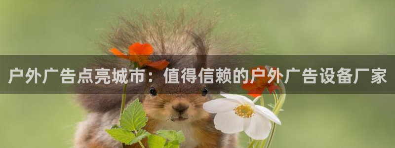 杏宇平台提现为什么这么久呢