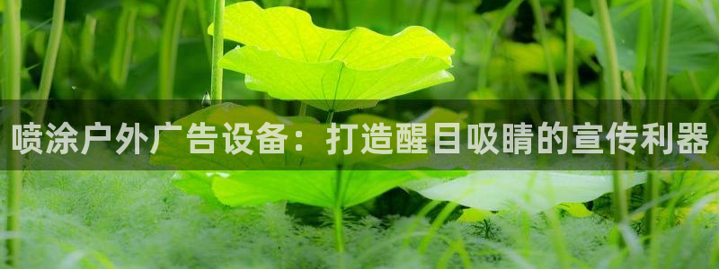 杏宇平台登录步骤