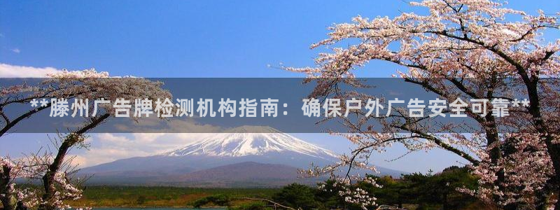 杏宇平台代理怎么赚钱