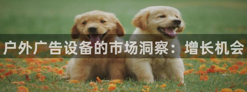 杏宇平台总代理是谁