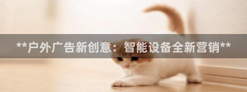 杏宇平台招商电话号码