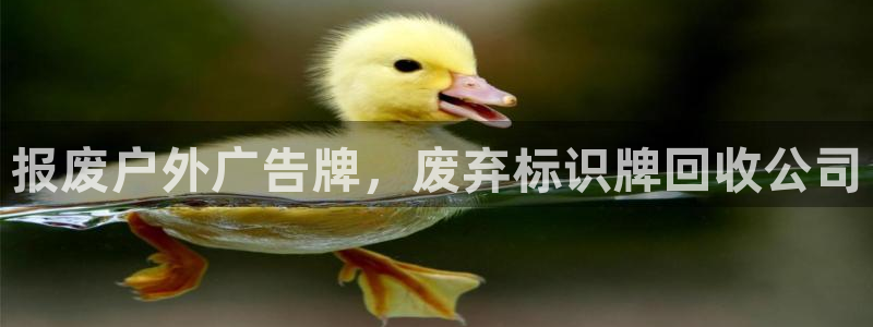 杏宇平台代理怎么赚钱的