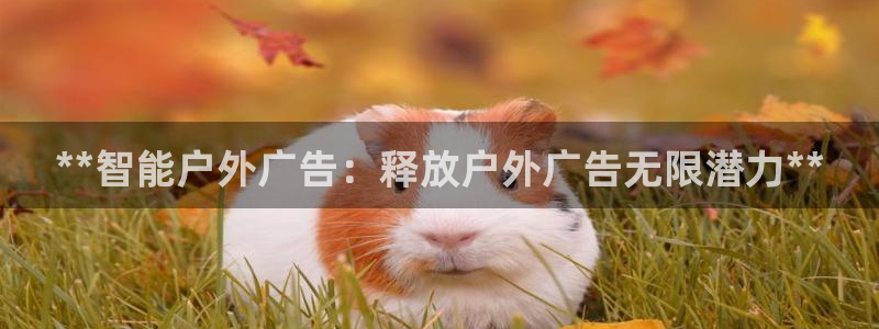 杏宇平台怎么样知乎：**智能户外广告：释放户外广告无限潜力**