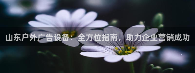 杏宇平台招商怎么样：山东户外广告设备：全方位指南，助力企业营销成功