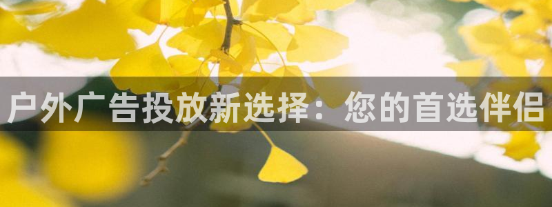 杏宇平台是什么