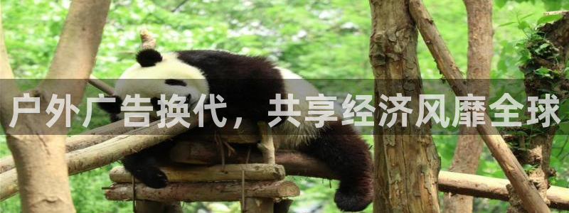 杏宇平台测速链接