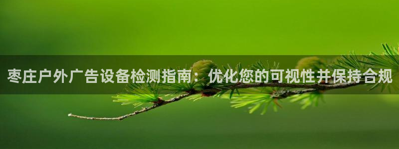 杏宇平台登陆：枣庄户外广告设备检测指南：优化您的可视性并保持合规