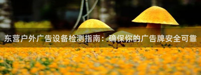 杏宇平台怎么样知乎：东营户外广告设备检测指南：确保你的广告牌安全可靠
