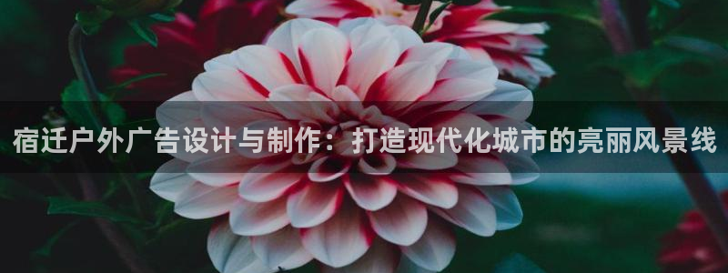 杏宇平台招商电话号码：宿迁户外广告设计与