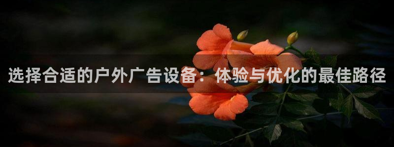 杏宇平台代理怎么赚钱快：选择合适的户外广