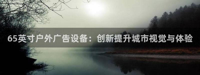 杏宇平台代理怎么赚钱快：65英寸户外广告