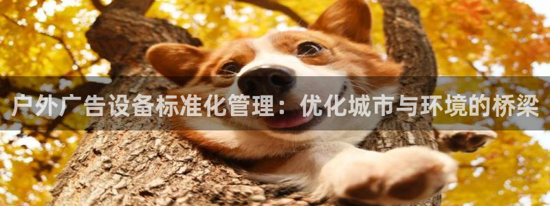 杏宇平台注册地址在哪里：户外广告设备标准