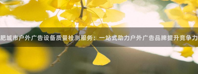杏宇平台代理多少钱：肥城市户外广告设备质