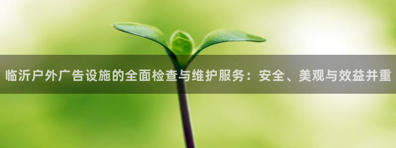 杏宇平台好吗：临沂户外广告设施的全面检查与维护服务：安全、美观与效益并重