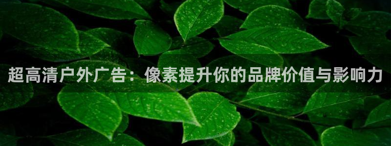 杏宇平台招商：超高清户外广告：像素提升你的品牌价值与影响力