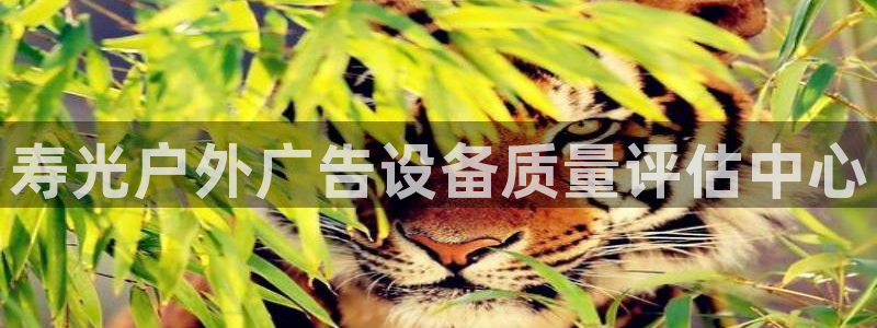 杏宇平台怎么样：寿光户外广告设备质量评估