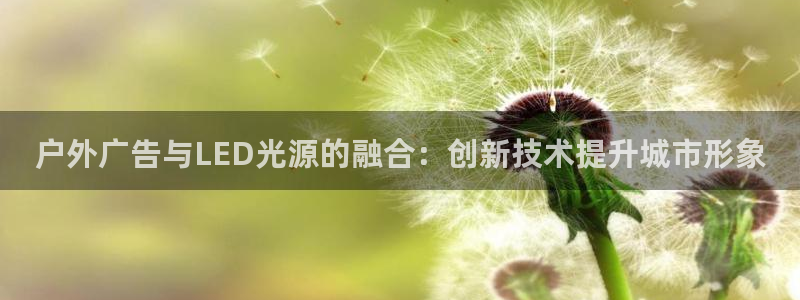 杏宇平台代理：户外广告与LED光源的融合